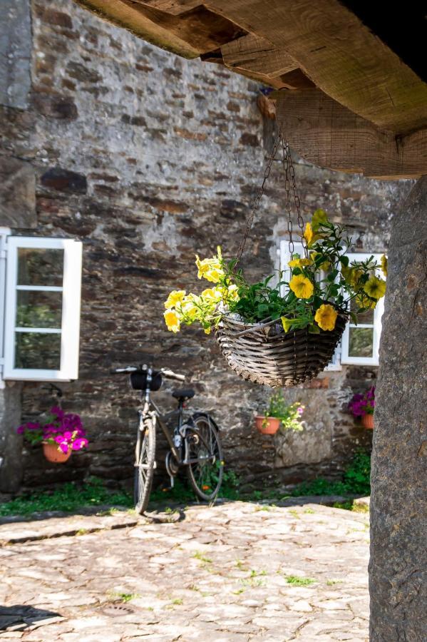 Appartement O Pazo Da Briona à Arzúa Extérieur photo
